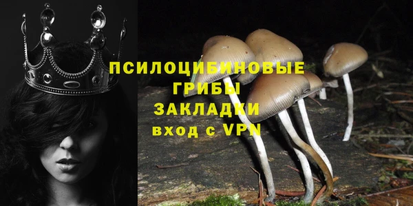 ECSTASY Корсаков