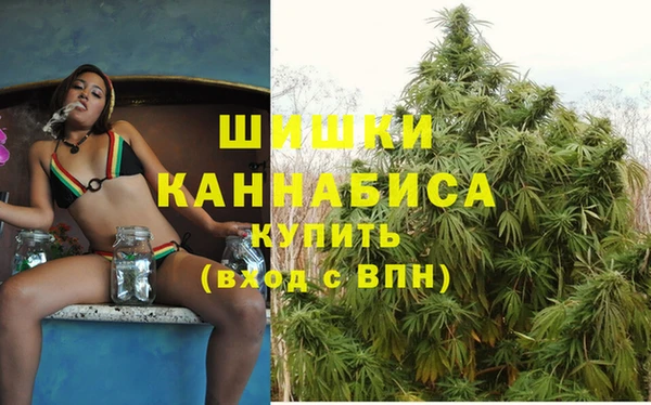 ECSTASY Корсаков