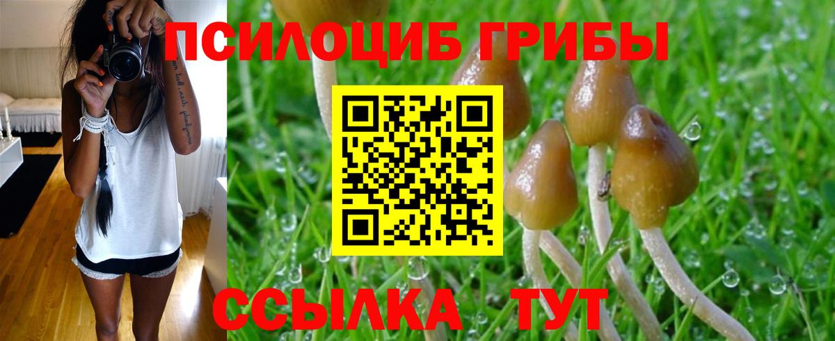 Псилоцибиновые грибы GOLDEN TEACHER  купить   Уссурийск  Вход с VPN 